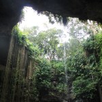 Blick aus der Cenote Ik Kil